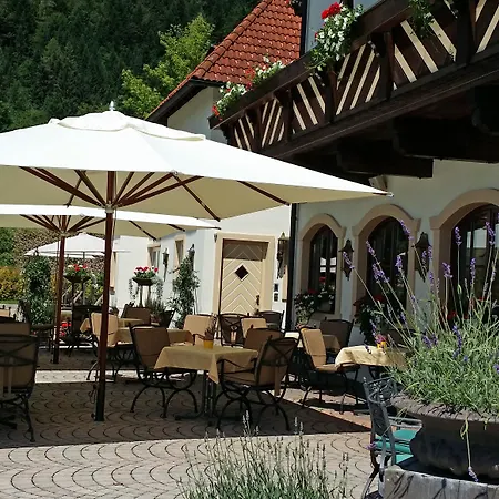 ホテル Alpenschloessl ゼル