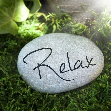 ホテル Alpenschloessl 4*