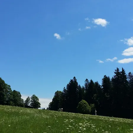 Alpenschloessl ホテル