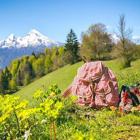 Отель Alpenschloessl